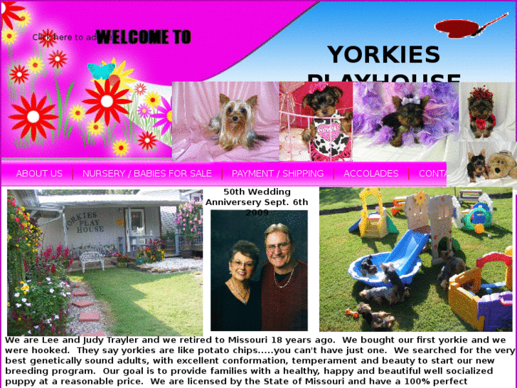 www.yorkies-playhouse.com