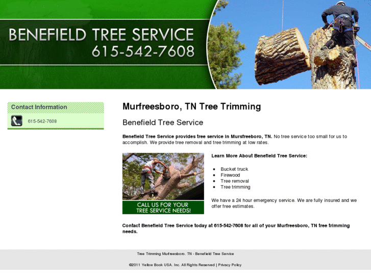 www.benefieldtreeservice.com