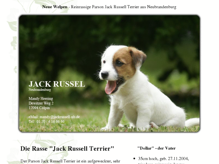 www.jackrussell-nb.de