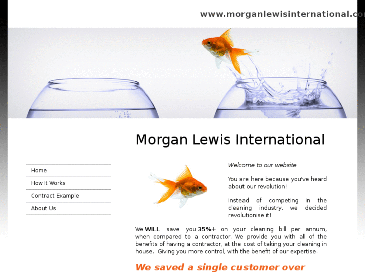 www.morganlewisinternational.com