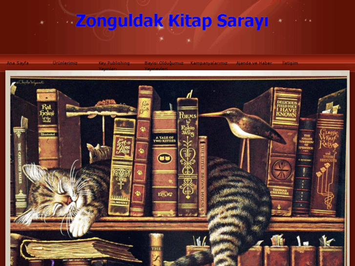 www.zonguldakkitapsarayi.com