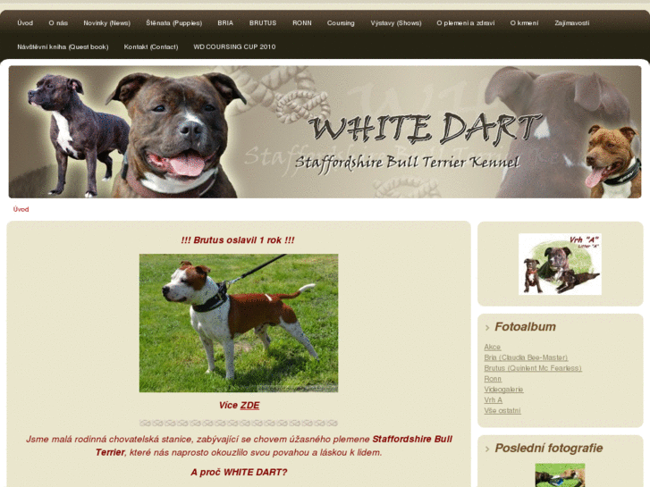 www.whitedart.com