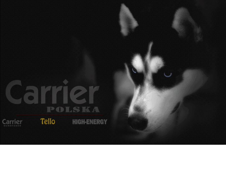 www.carrier-polska.pl