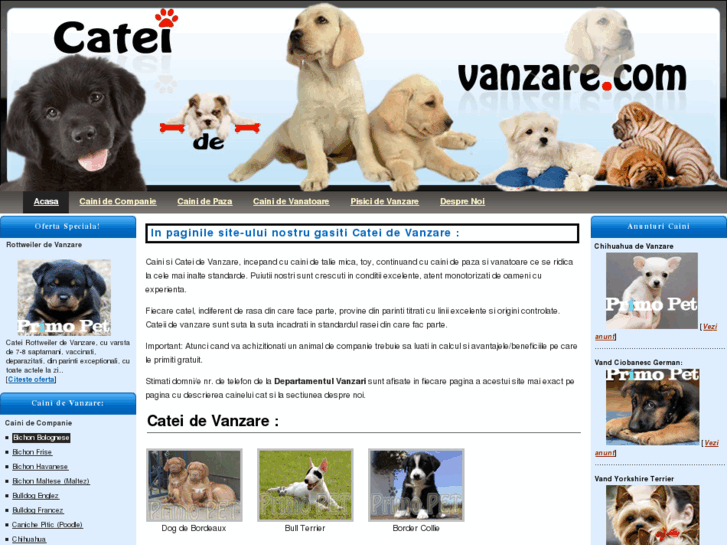 www.catei-de-vanzare.com