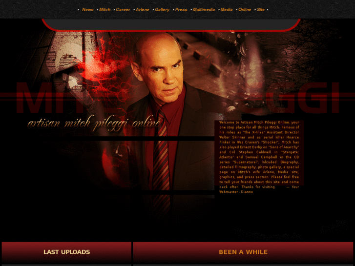 www.mitchpileggi.org