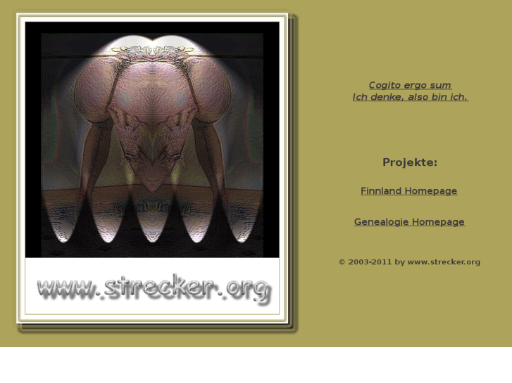 www.strecker.org