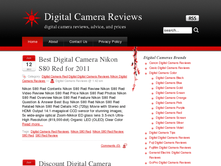 www.camerasdigitals.com