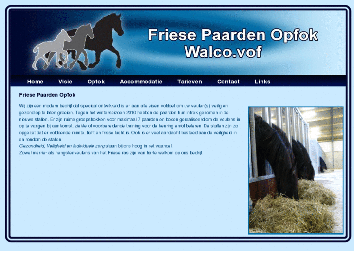 www.friesepaardenopfok.com