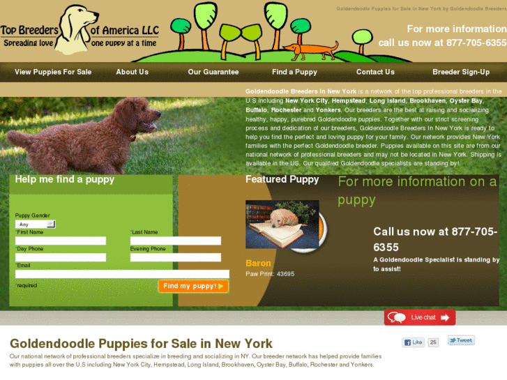 www.goldendoodlebreedersinnewyork.com