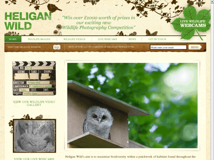 www.heliganwild.com