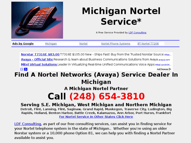 www.michigannortelservice.com