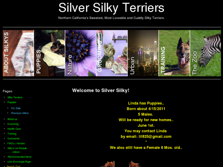 www.silversilky.com