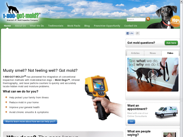 www.1800gotmold.com