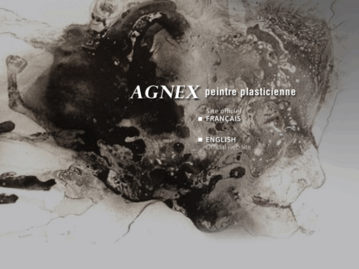 www.agnexstudio.com