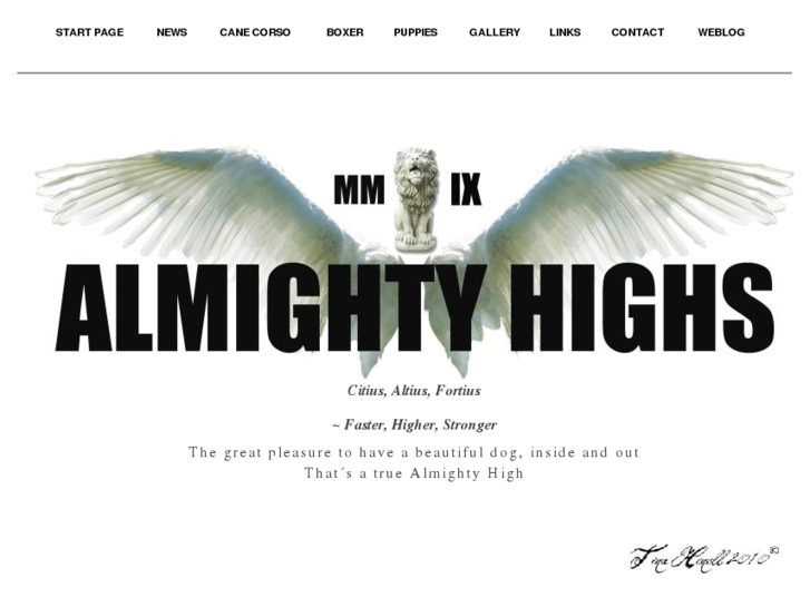 www.almightyhighs.com