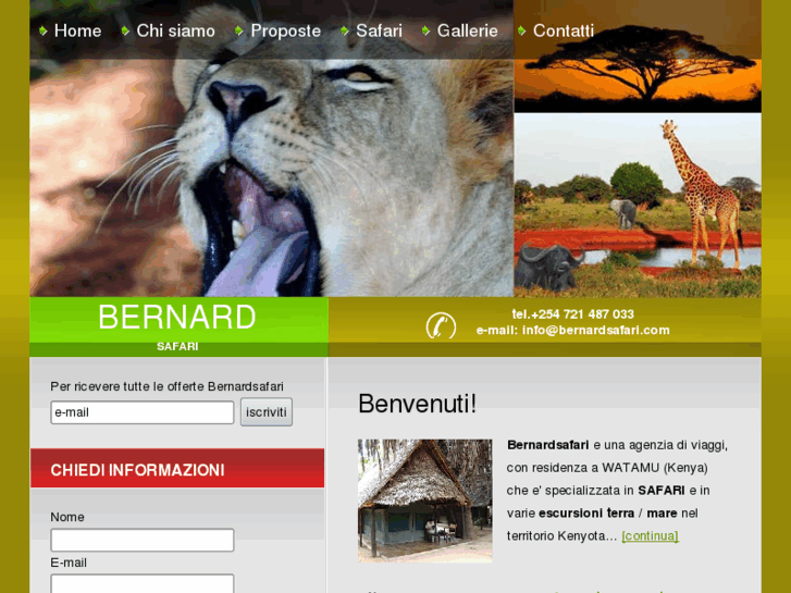 www.bernardsafari.com