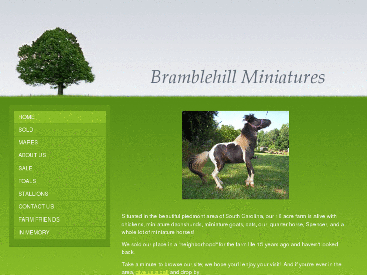 www.bramblehillminiatures.com