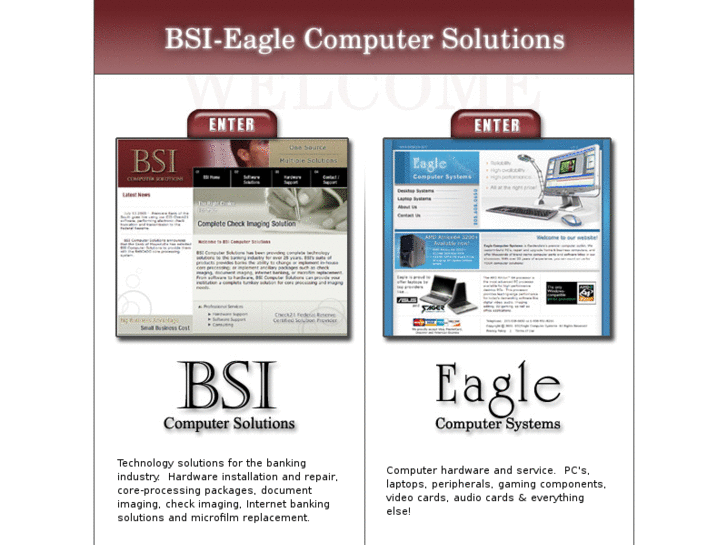 www.bsieagle.com