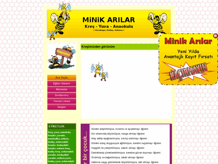 www.minikarilar.com