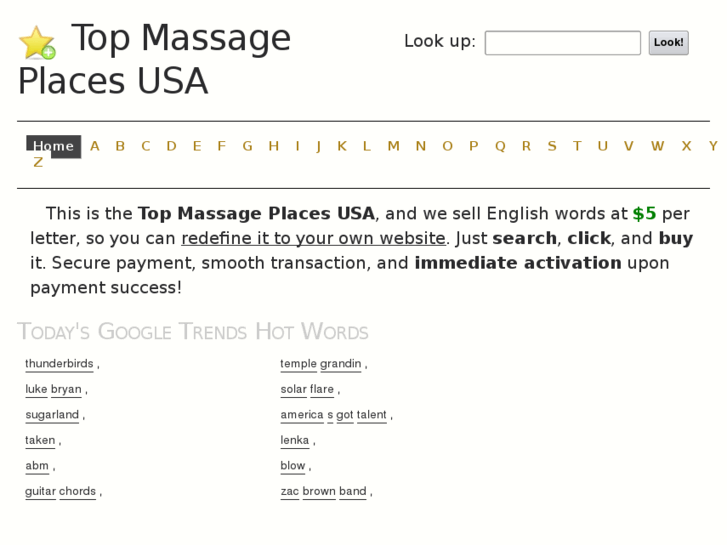 www.themassageusa.com