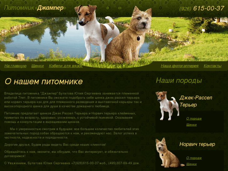 www.djumper.ru