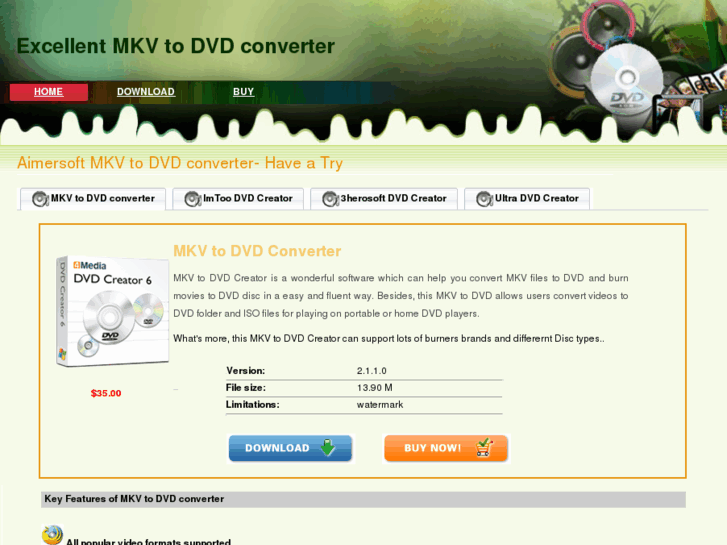 www.mkvtodvdconverter.com