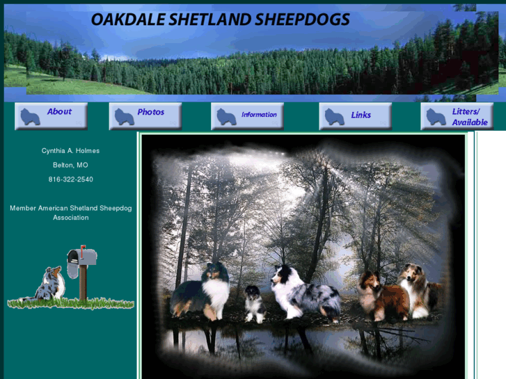 www.oakdaleshelties.com