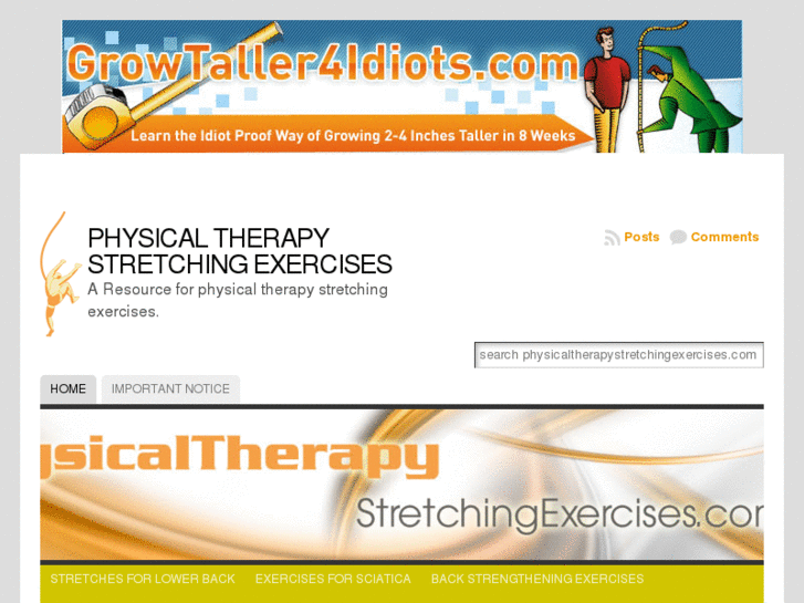 www.physicaltherapystretchingexercises.com