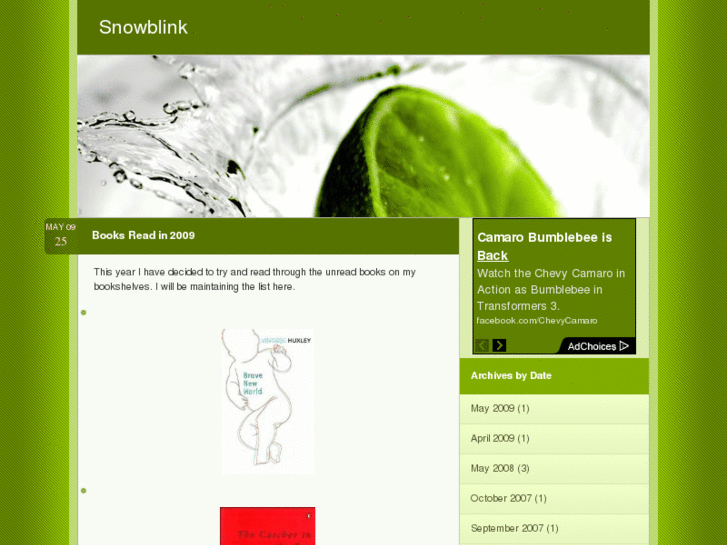 www.snowblink.co.uk