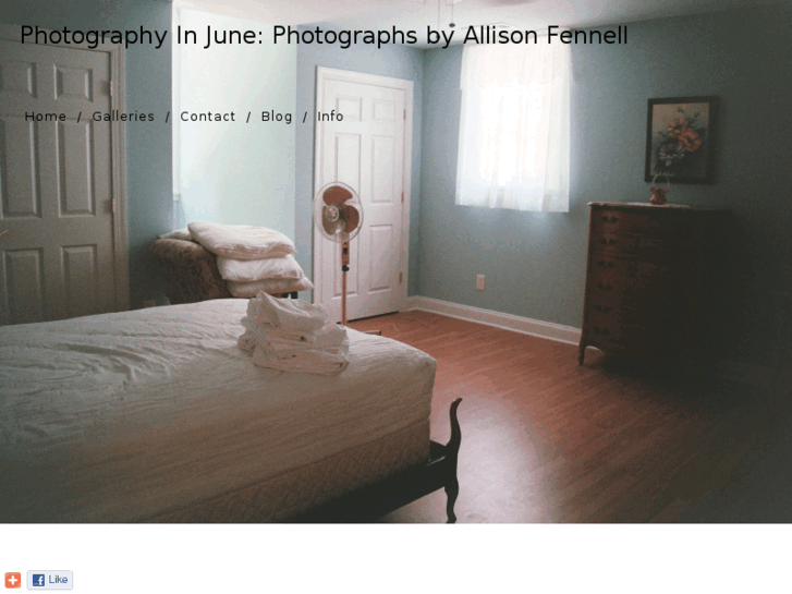www.allisonfennell.com