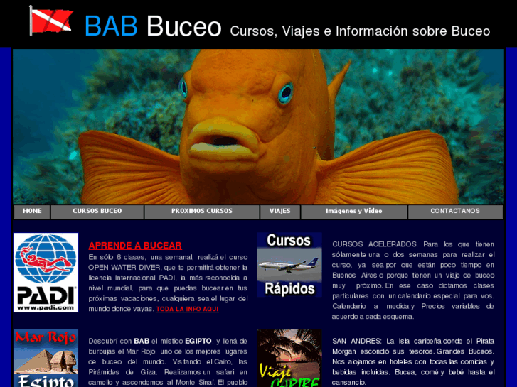 www.babbuceo.com.ar