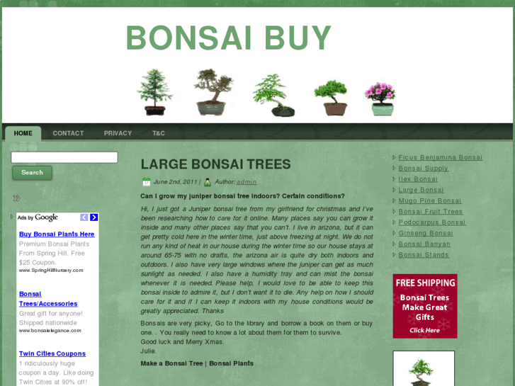 www.bonsaibuy.org