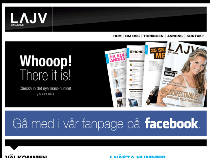 www.lajvmagazine.se