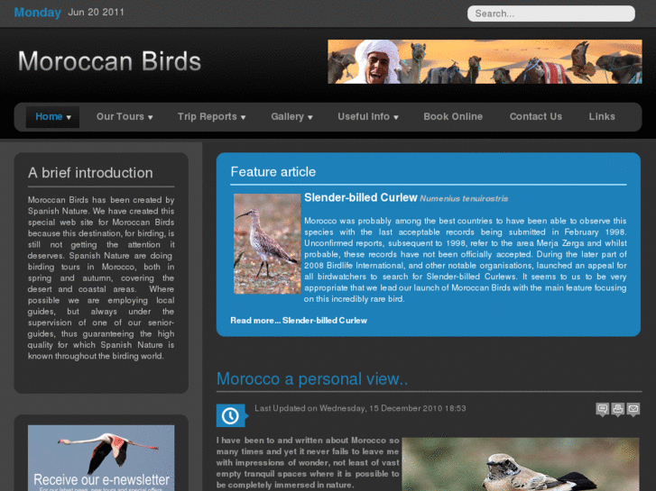 www.moroccanbirds.com