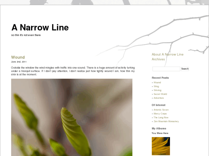 www.narrowline.net