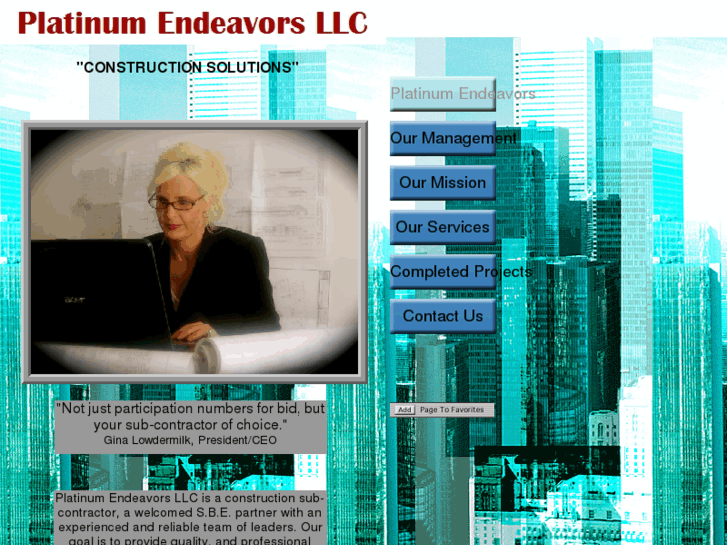 www.platinumendeavorsllc.com