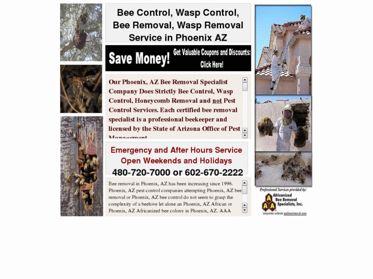 www.beecontrolphoenixaz.com