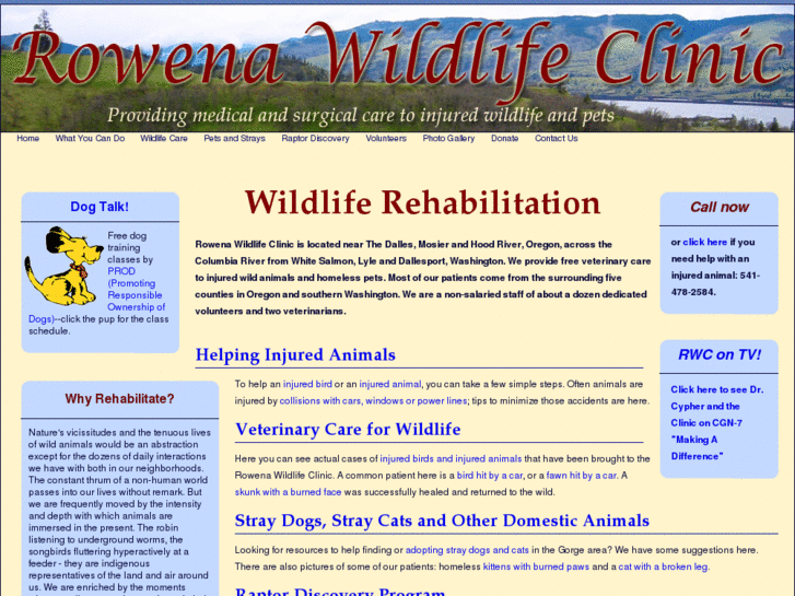 www.rowenawildlifeclinic.com