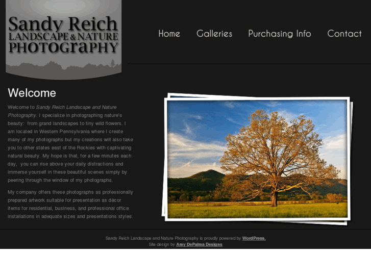 www.sandyreichphotography.com