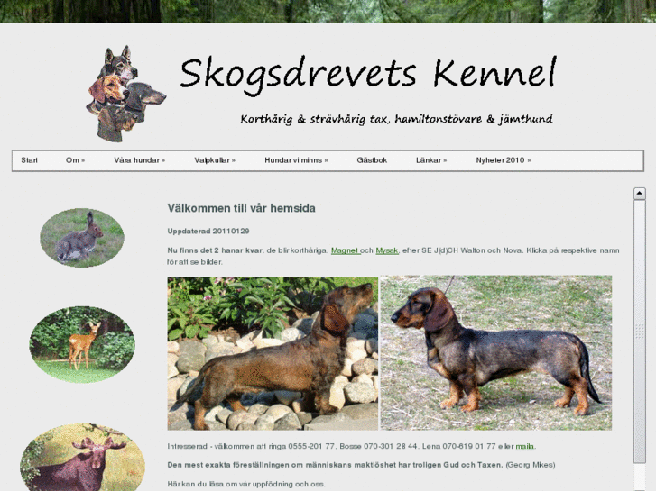 www.skogsdrevets.com