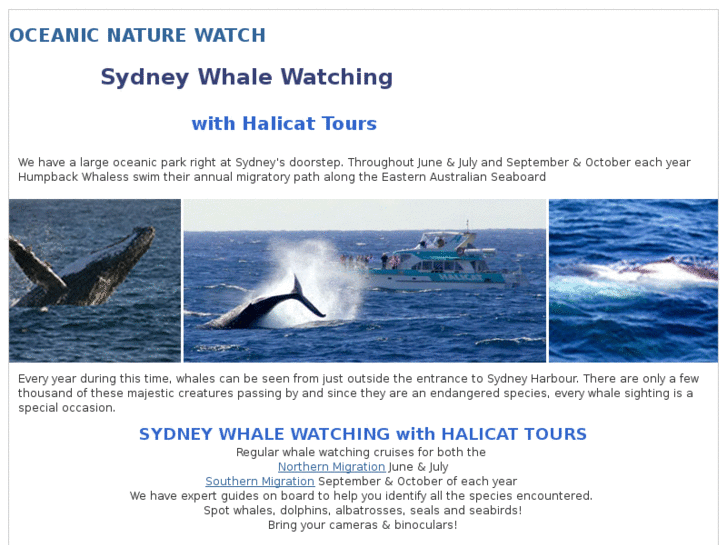 www.sydneywhalewatch.net.au