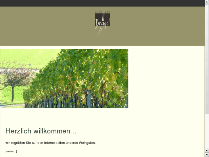 www.weingut-bruegel.de