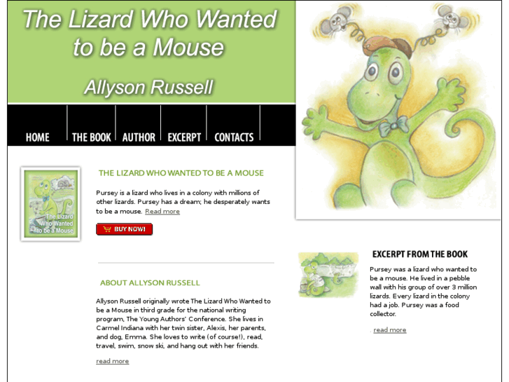 www.allyslizard.com