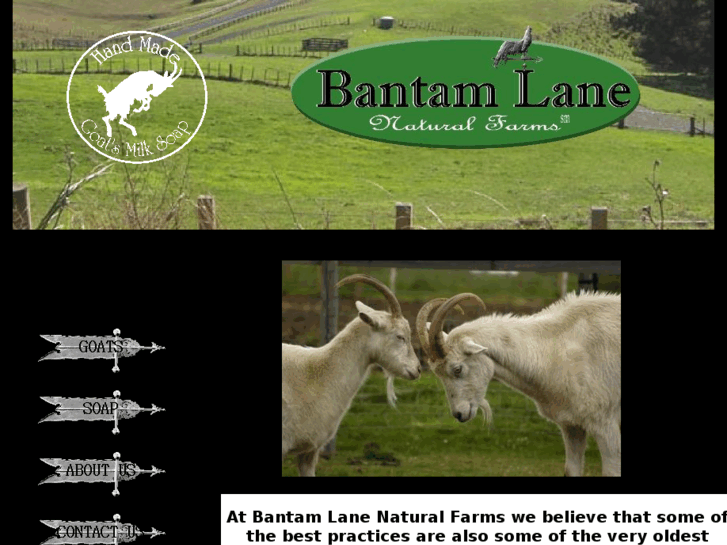 www.bantamlane.com