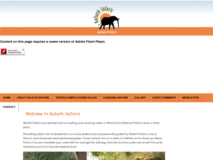 www.goliathsafaris.com