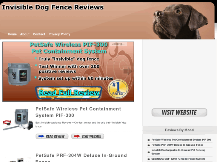 www.invisibledogfencereviews.com