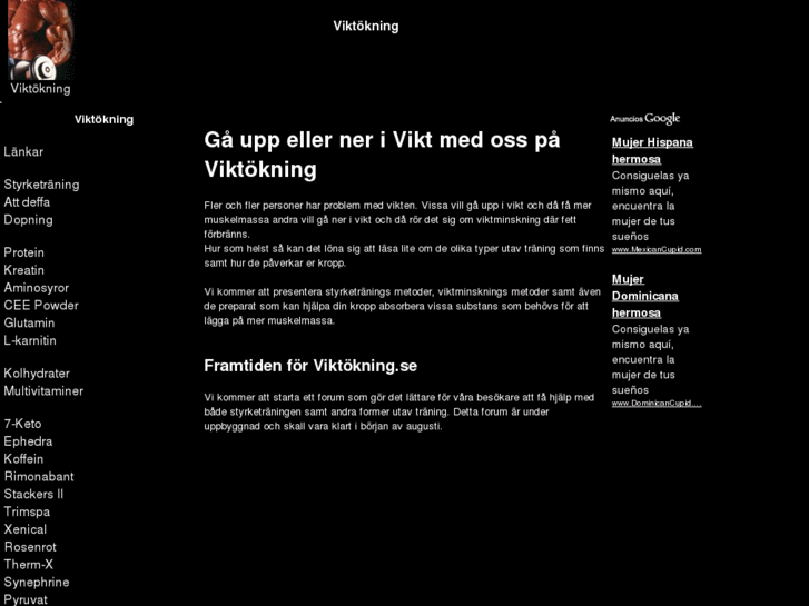 www.viktokning.se