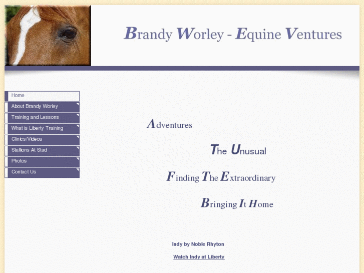 www.brandyworley.com