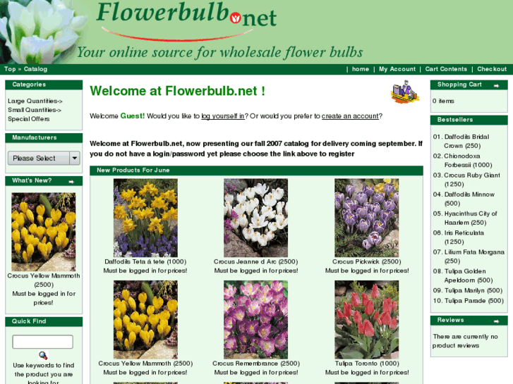 www.flowerbulb.net