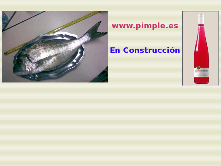 www.pimple.es